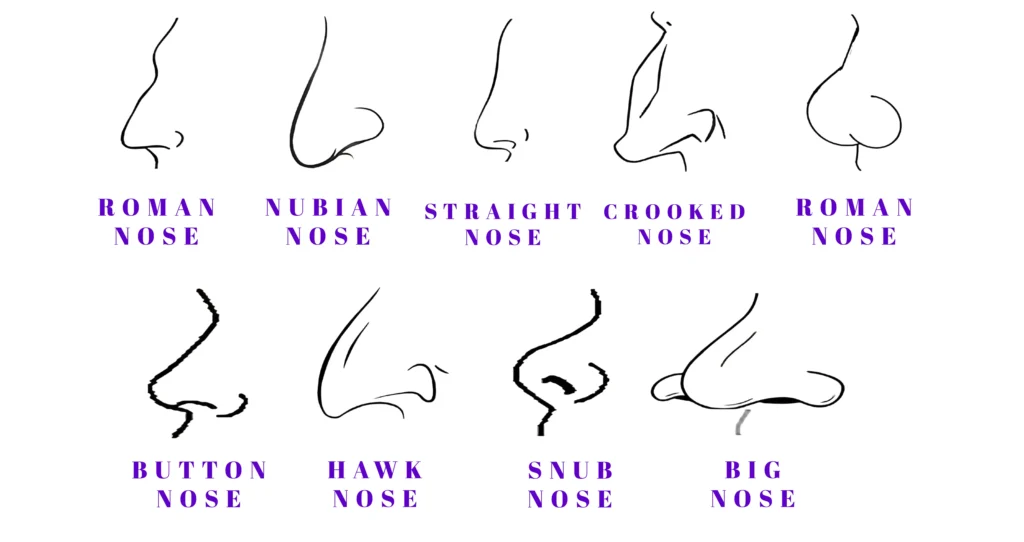 Front view comparison of aquiline, roman, and hooked noses.