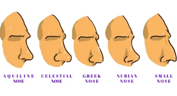 Roman Nose & 9 Other Nose Shapes Explained: Find Your Perfect Look Today