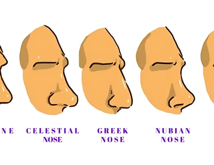 Side profile of different nose shapes, including Roman, Aquiline, and Button noses